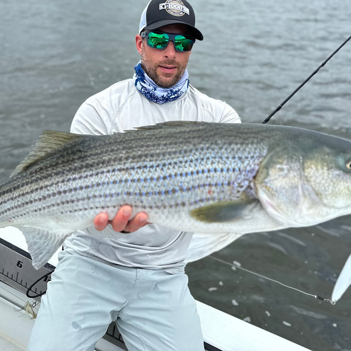 August 22nd - Striper and Bluefish Action