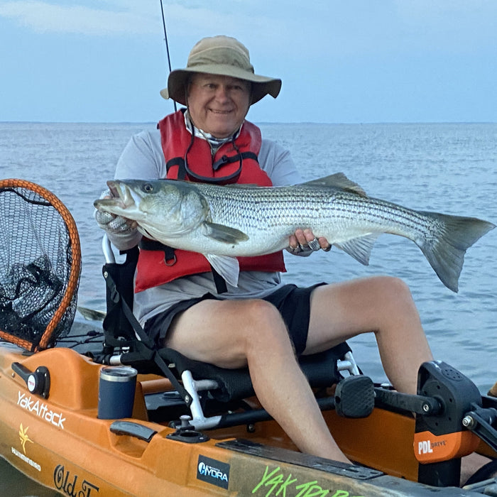 July 5th - The River Bite Has Slowed And Many Of The Big Stripers Have Moved Out