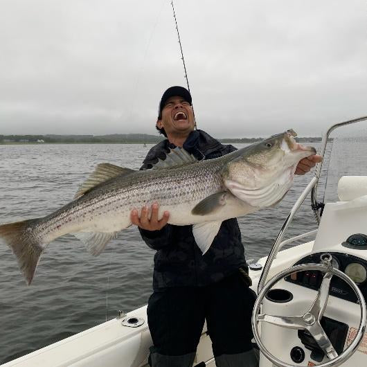 June 28th - Every Tide is Bringing in Bigger Stripers