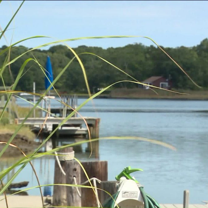 BHO MAKES THE NEWS: Daytrippers: A stand up escape in Old Lyme - Fox61