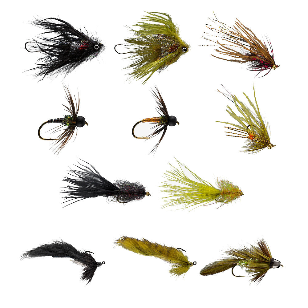 Flies