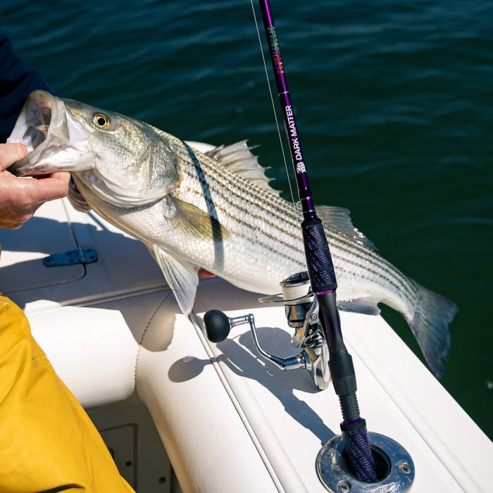 Inshore Rods