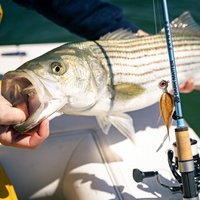 john skinner tsunami rod Dark Matter John Skinner Jig & Bounce Spinning Rods