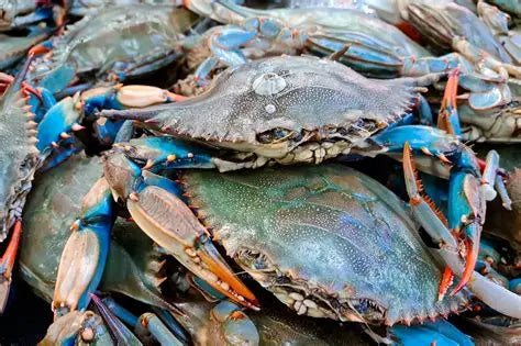 Frozen Blue Crabs