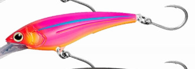 Shimano Ledge Runner