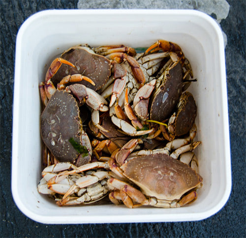 Frozen White Legger Crabs