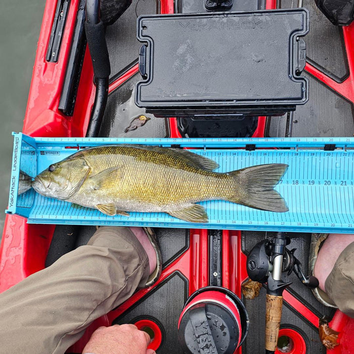 YakAttack LeaderBoard - 28" Fish Measuring Board with Built-In Identifier Holders and Cull Tabs