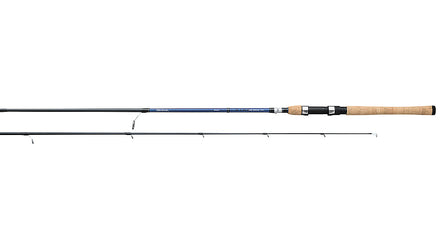 Daiwa Aird Coastal Inshore Spinning Rods