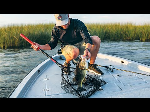 bubba fishing nets Bubba Carbon Fiber Fishing Landing Net