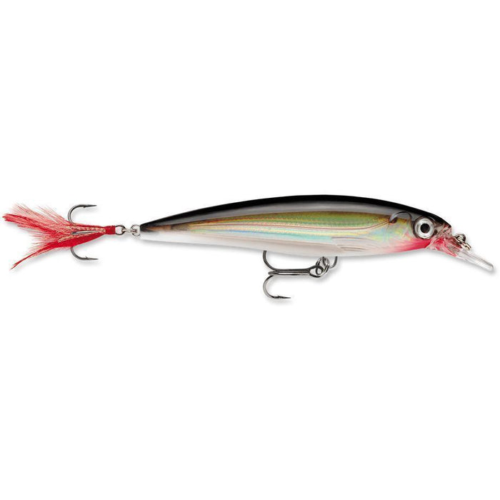 Rapala X-Rap 10 Jerkbait